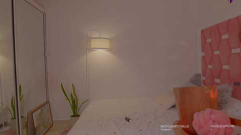 nicolle_mitchelle free recording from 2025-04-10 14:20:00