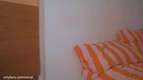 ocicat free recording from 2025-04-10 08:22:00