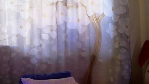 sherbru free recording from 