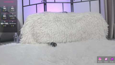 xenomy free recording from 2025-04-10 11:01:00