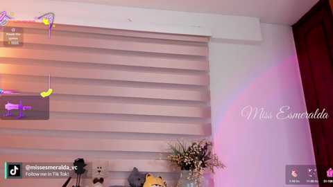 missesmeralda free recording from 2025-04-11 05:32:00