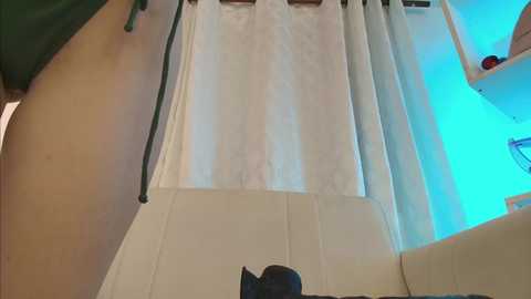 nezo_ free recording from 