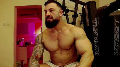 adonis_msc free recording from 2025-04-12 10:08:00