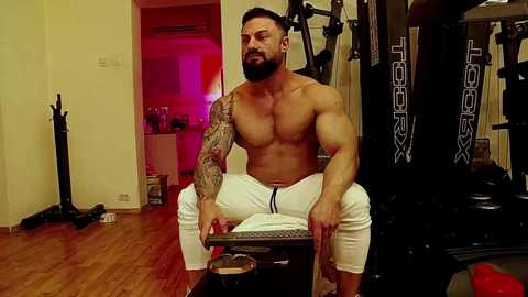 adonis_msc free recording from 2025-04-12 18:30:00