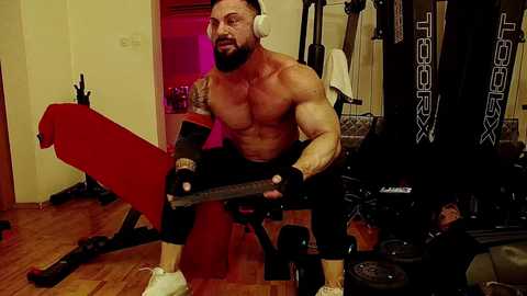 adonis_msc free recording from 2025-04-12 20:03:00