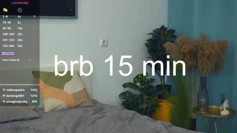 coventinaashfield free recording from 