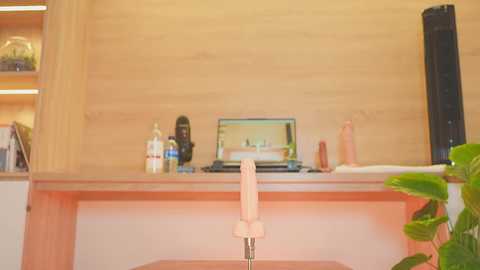 lana_kane_ free recording from 2025-04-12 16:38:00