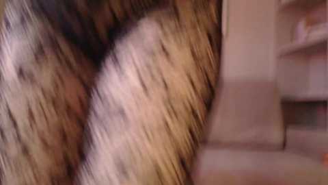 my_hannah free recording from 