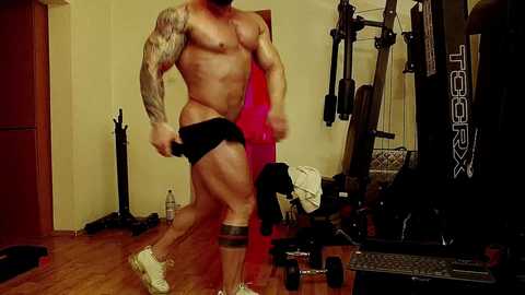 adonis_msc free recording from 2025-04-13 17:31:00