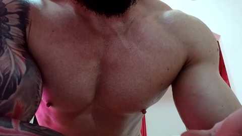 adonis_msc free recording from 2025-04-13 20:01:00