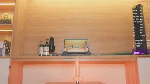 lana_kane_ free recording from 2025-04-13 18:39:00