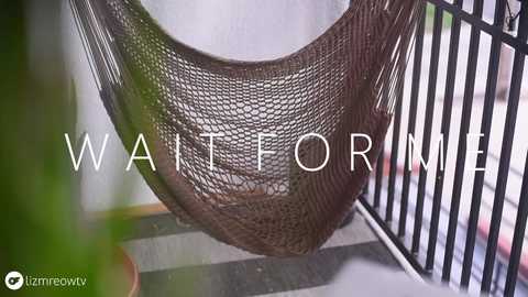 lizmreow free recording from 2025-04-13 01:20:00