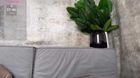 quantum_heart free recording from 2025-04-13 07:06:00