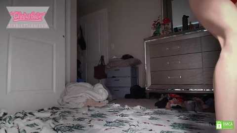 scarlettgracevip free recording from 2025-04-13 12:54:00