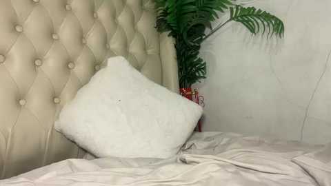 sugarhoneysw8 free recording from 