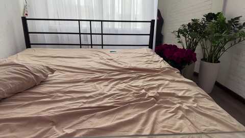 denobluora free recording from 