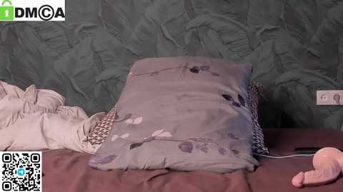 manjerk_on_cb free recording from 