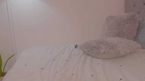 nicolle_mitchelle free recording from 2025-04-14 16:24:00