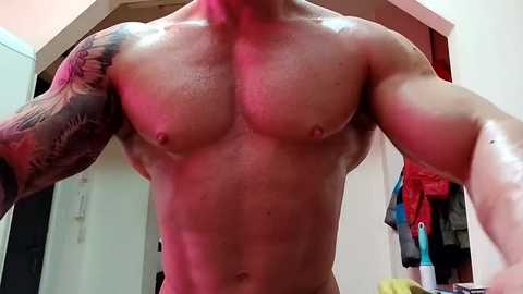 adonis_msc free recording from 