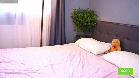 bellacle free recording from 2025-04-15 10:57:00