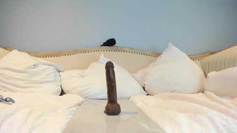 eatmygingersnapps free recording from 2025-04-15 18:33:00