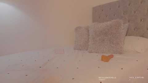 nicolle_mitchelle free recording from 2025-04-15 14:58:00