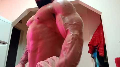 adonis_msc free recording from 2025-04-16 15:30:00