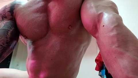 adonis_msc free recording from 2025-04-16 16:28:00