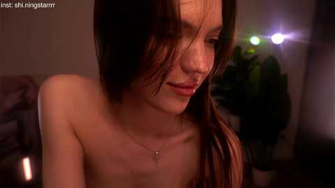 shiningstarrr free recording from 2025-04-16 02:29:00