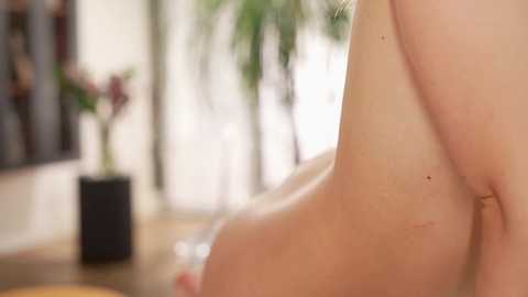 villanelle_l free recording from 2025-04-16 17:40:00