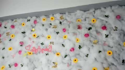 babyaylin free recording from 2025-04-17 10:52:00