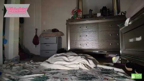 scarlettgracevip free recording from 2025-04-17 06:51:00