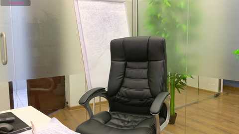 babesgowild free recording from 2025-04-18 08:00:00