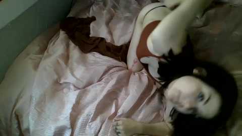 0x_ash_x0 free recording from 