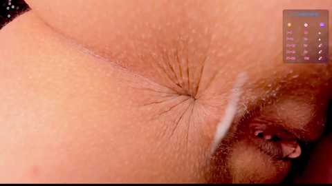 _witch__ free recording from 2025-04-19 13:35:00