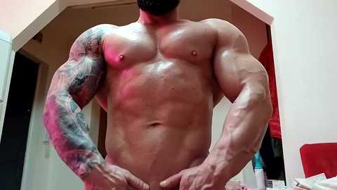 adonis_msc free recording from 2025-04-19 01:08:00