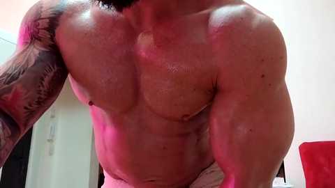 adonis_msc free recording from 2025-04-19 04:30:00