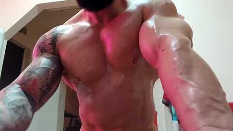 adonis_msc free recording from 2025-04-19 05:05:00