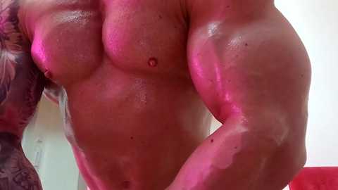 adonis_msc free recording from 2025-04-19 05:59:00