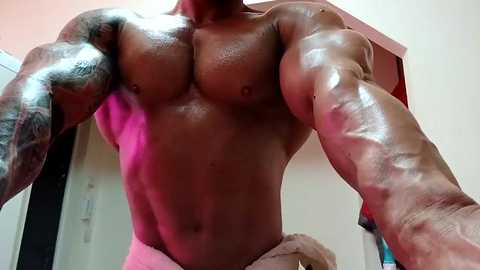 adonis_msc free recording from 2025-04-19 12:22:00