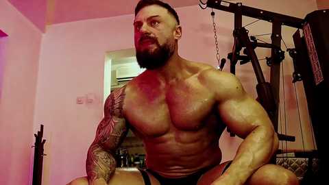 adonis_msc free recording from 2025-04-19 21:05:00