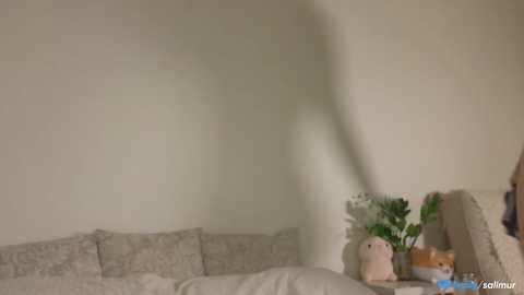 salimurr free recording from 