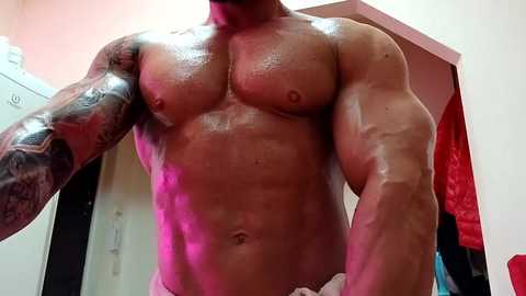 adonis_msc free recording from 2025-04-20 18:53:00