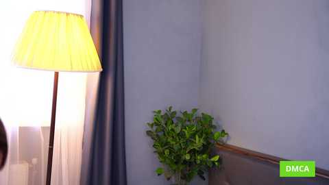 bellacle free recording from 2025-04-20 10:30:00