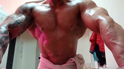 adonis_msc free recording from 