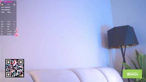 islandladies free recording from 2025-04-21 09:21:00