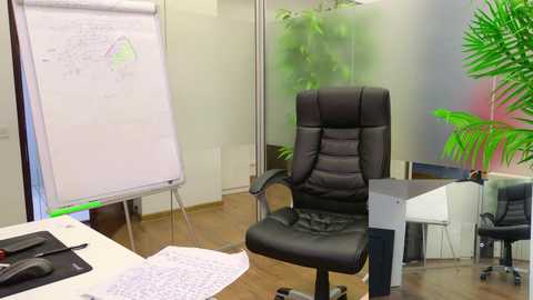 babesgowild free recording from 2025-04-22 07:35:00