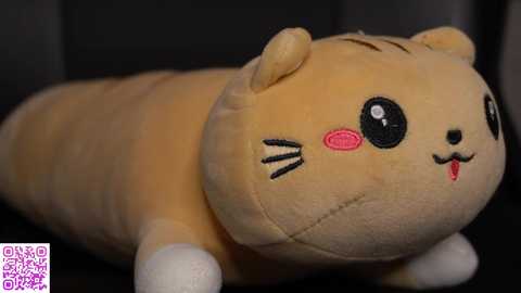 kusssecka free recording from 