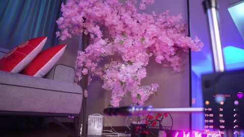 marry_cordy free recording from 