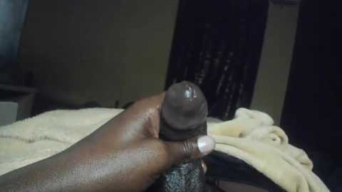 xmboroz free recording from 